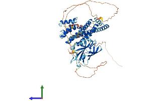 Protein Structure (PS) image for Golgi-Associated, gamma Adaptin Ear Containing, ARF Binding Protein 2 (GGA2) (AA 1-603) protein (His tag) (ABIN7557996)