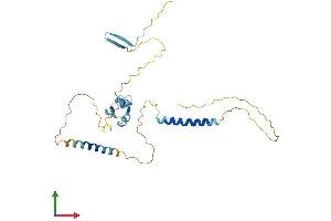 Protein Structure (PS) image for LysM, Putative Peptidoglycan-Binding, Domain Containing 4 (LYSMD4) (AA 1-293) protein (His tag) (ABIN7559243)