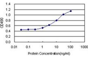 Sandwich ELISA detection sensitivity ranging from 1 ng/mL to 100 ng/mL.