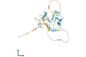 Protein Structure (PS) image for FLT3-Interacting Zinc Finger 1 (FIZ1) (AA 1-500) protein (His tag) (ABIN7556235)