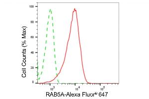 Flow cytometric analysis of RAB5A expression in HepG2 cells using RAB5A antibody (ABIN7800099), 1:2,000). (Recombinant RAB5 抗体)