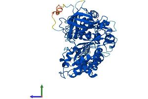 Protein Structure (PS) image for NADPH Dependent Diflavin Oxidoreductase 1 (NDOR1) (AA 1-598) protein (His tag) (ABIN7561914)