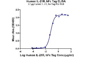 ELISA image for Interleukin 21 Receptor (IL21R) (AA 20-236) protein (Fc Tag) (ABIN7275021)