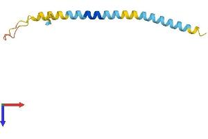 AlphaFold protein structure predicition of Human Recombinant SMIM21 Protein, UniprotID Q3B7S5