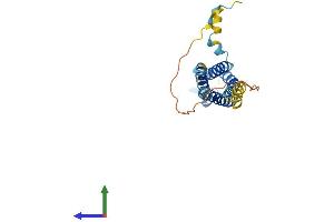 AlphaFold protein structure predicition of Human Recombinant SYNGR4 Protein, UniprotID O95473