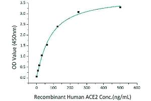 ELISA image for SARS-CoV-2 Spike S1 (RBD) (Active) protein (mFc Tag) (ABIN6952742)