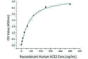 Immobilized Recombinant 2019-nCoV RBD-mFc at 2 μg/mL (100 μL/well) can bind Recombinant Human ACE2 with a linear range of 8-80 ng/mL.