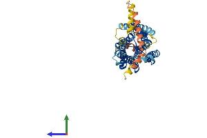 Protein Structure (PS) image for Prostaglandin F Receptor (FP) (PTGFR) (AA 1-366) protein (His tag) (ABIN7563253)