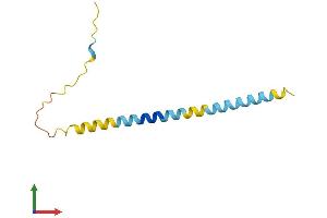 AlphaFold protein structure predicition of Human Recombinant SMIM21 Protein, UniprotID Q3B7S5