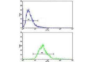 Flow Cytometry (FACS) image for anti-O6-Methylguanine-DNA-Methyltransferase (MGMT) (AA 156-182) antibody (ABIN3032088)