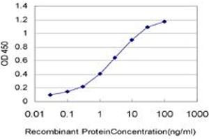 Detection limit for recombinant GST tagged THNSL1 is approximately 0. (THNSL1 抗体  (AA 151-250))