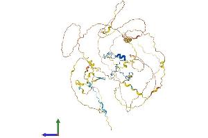 Protein Structure (PS) image for Cancer Susceptibility Candidate 3 (CASC3) (AA 1-703) protein (His tag) (ABIN7553031)