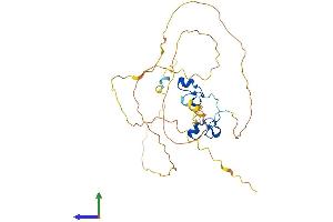 Protein Structure (PS) image for ZFP36 Ring Finger Protein-Like 1 (ZFP36L1) (AA 1-338) protein (His tag) (ABIN7562993)