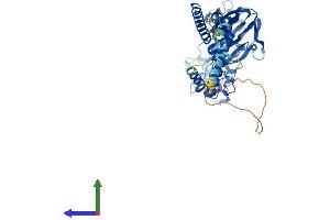 Protein Structure (PS) image for Amiloride-Sensitive Cation Channel 1, Neuronal (ACCN1) (AA 1-512) protein (His tag) (ABIN7552366)
