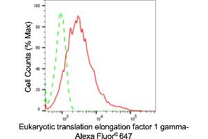 Flow cytometric analysis of Eukaryotic translation elongation factor 1 gamma expression in HepG2 cells using Eukaryotic translation elongation factor 1 gamma antibody (ABIN7798500), 1:2,000). (Recombinant EEF1G 抗体)