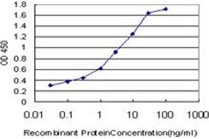 Detection limit for recombinant GST tagged TGM2 is approximately 0. (Transglutaminase 2 抗体  (AA 1-120))