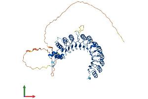 AlphaFold protein structure predicition of Mouse Recombinant Fbxl7 Protein, UniprotID Q5BJ29