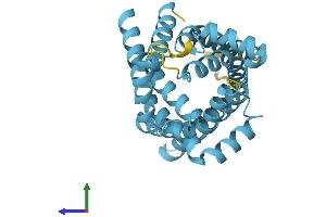 Protein Structure (PS) image for Solute Carrier Family 25, Member 45 (SLC25A45) (AA 1-288) protein (His tag) (ABIN7551680)