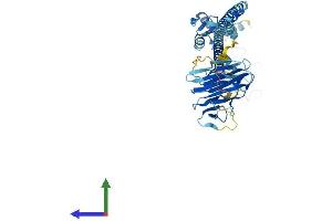 AlphaFold protein structure predicition of Mouse Recombinant Trim75 Protein, UniprotID Q3UWZ0