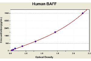 Diagramm of the ELISA kit to detect Human BAFFwith the optical density on the x-axis and the concentration on the y-axis. (BAFF ELISA 试剂盒)