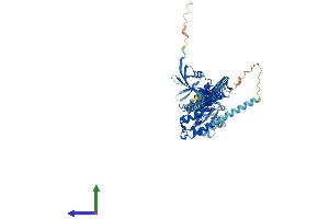 AlphaFold protein structure predicition of Human Recombinant NF2 Protein, UniprotID P35240 (Merlin Protein (AA 1-595) (His tag))