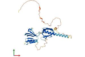 AlphaFold protein structure predicition of Mouse Recombinant Dok6 Protein, UniprotID Q2MHE5