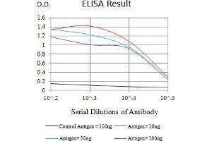 Black line: Control Antigen (100 ng),Purple line: Antigen (10 ng), Blue line: Antigen (50 ng), Red line:Antigen (100 ng) (CD248 抗体  (AA 18-180))