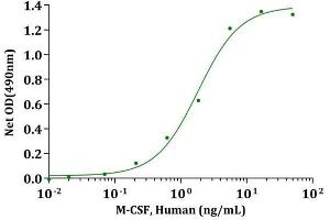 Activity Assay (AcA) image for Colony Stimulating Factor 1 (Macrophage) (CSF1) (AA 33-190), (Isoform 3) (Active) protein (ABIN2018212)