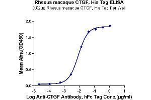 ELISA image for Connective Tissue Growth Factor (CTGF) (AA 27-349) protein (His tag) (ABIN7274340)