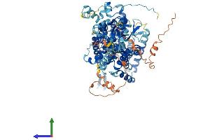 Protein Structure (PS) image for Solute Carrier Family 26, Member 9 (Slc26a9) (AA 1-791) protein (His tag) (ABIN7555328)
