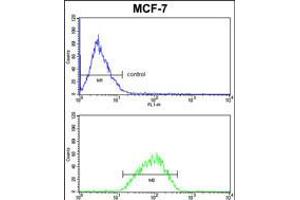 Flow cytometric analysis of MCF-7 cells (bottom histogram) compared to a negative control cell (top histogram). (Der1-Like Domain Family, Member 2 (DERL2) (AA 191-218), (C-Term) 抗体)