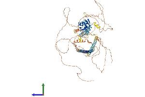 AlphaFold protein structure predicition of Human Recombinant PASD1 Protein, UniprotID Q8IV76