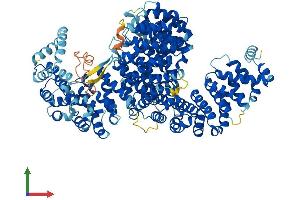 AlphaFold protein structure predicition of Mouse Recombinant Ipo4 Protein, UniprotID Q8VI75