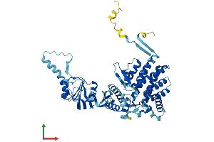 Protein Structure (PS) image for T-Complex 1 (TCP1) (AA 1-556) protein (His tag) (ABIN7562846)