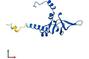 Protein Structure (PS) image for Ribosomal Protein L26 (RPL26) (AA 1-145) protein (His tag) (ABIN7551433)