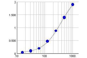Typical standard curve (Y-axis: Absorption, X-axis: Concentration(µg/ml)) (IgG ELISA 试剂盒)