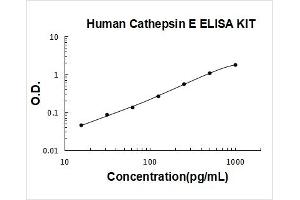 Cathepsin E (CTSE) ELISA Kit