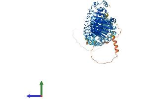 AlphaFold protein structure predicition of Mouse Recombinant Lrrc8c Protein, UniprotID Q8R502