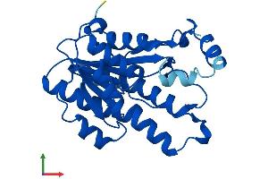 Protein Structure (PS) image for Carbonyl Reductase 2 (CBR2) (AA 1-244) protein (His tag) (ABIN7562758)