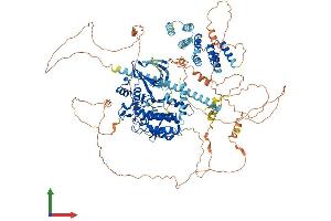 Protein Structure (PS) image for Budding Uninhibited By Benzimidazoles 1 Homolog (Yeast) (BUB1) (AA 1-1058) protein (His tag) (ABIN7562221)