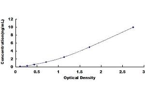 Typical standard curve (BCL2A1 ELISA 试剂盒)