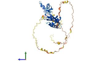 Protein Structure (PS) image for KH Domain Containing, RNA Binding, Signal Transduction Associated 2 (KHDRBS2) (AA 1-349) protein (His tag) (ABIN7548710)