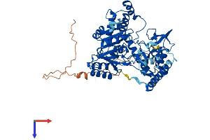 SPTLC3 Protein (AA 1-563) (His tag)