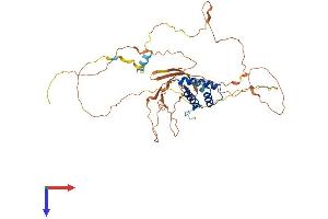 CABYR Protein (AA 1-453) (His tag)
