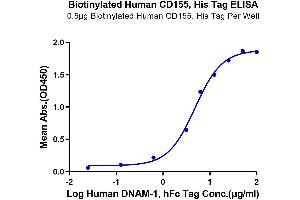 ELISA image for Poliovirus Receptor (PVR) (AA 21-343) protein (His-Avi Tag,Biotin) (ABIN7274081)
