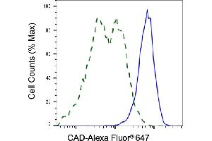 Validation of CAD knockdown using flow cytometry. (Recombinant CAD 抗体)