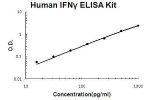Human IFN gamma PicoKine ELISA Kit standard curve (Interferon gamma ELISA 试剂盒)