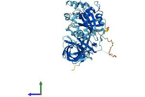 AlphaFold protein structure predicition of Human Recombinant GSPT1 Protein, UniprotID P15170 (GSPT1 Protein (AA 1-499) (His tag))