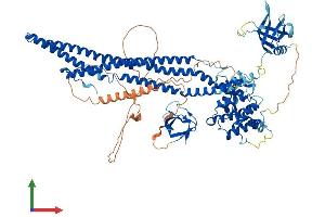 Protein Structure (PS) image for rho GTPase Activating Protein 26 (ARHGAP26) (AA 1-814) protein (His tag) (ABIN7551354)