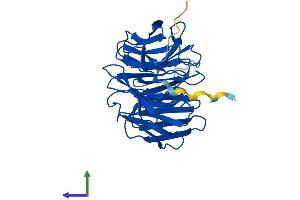 Protein Structure (PS) image for WD Repeat Domain 83 (wdr83) (AA 1-315) protein (His tag) (ABIN7545176)